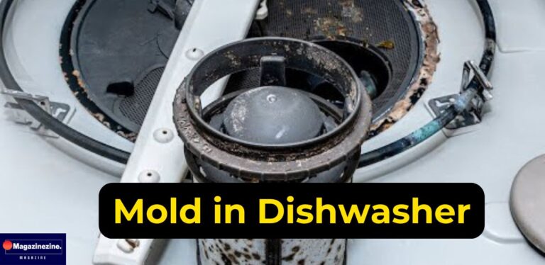 Mold In Dishwashers