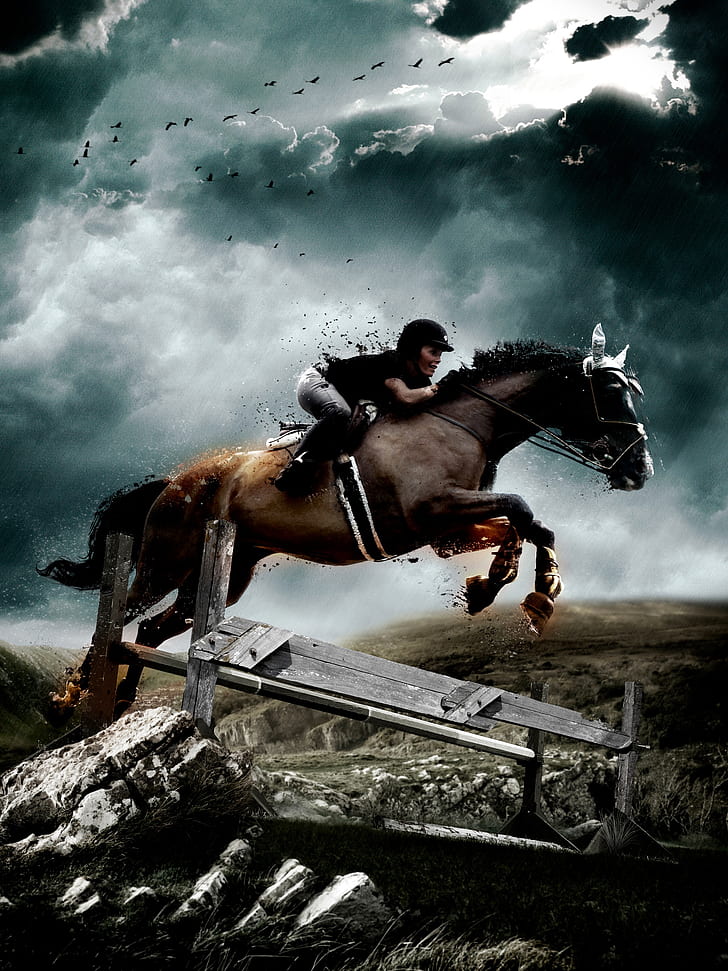 Horse Jumping